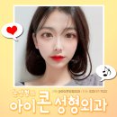 아이콘성형외과의원 이미지