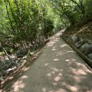 문동휴양지 | 문동폭포 탐방기 (거제휴양지)