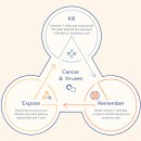 (주)이뮤니티 이미지