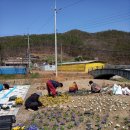 용수리마을회관 이미지