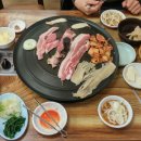 선사시대꺼먹돼지 이미지