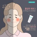 세라클레이