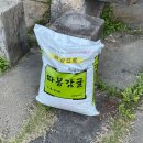 삼원정 | [제주] 내돈내산 중문관광단지 갈치전문점 삼원정 갈치조림 갈치구이 스페셜 세트 후기 (픽업, 예약)