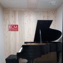 음악나무피아노 이미지