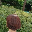 고등동 행정복지센터 다목적실 | 수원역미용실 고등동미용실 코멜리헤어랩2호점 하린수석디자이너