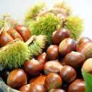 도깨비농촌체험휴양마을 이미지