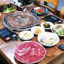 신신한우