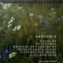 물마루 이미지