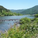 가정역(섬진강출렁다리) 이미지