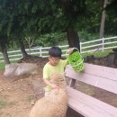 훈이목장 이미지