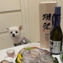 가락시장할인마트 | 서울 봄 제철음식 도다리회 가락시장 횟집 내돈내산 포장 존맛후기