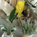 제이디 PT스튜디오 이미지