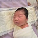 시온여성병원 제왕절개 6박7일 1인실 모유수유 모자동실 식사 두번째 입원후기