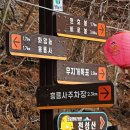 제 432차 정기산행 양산 천성산(922m)_20240317 이미지