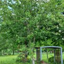 여강길(3-1코스 강천섬길) | 여주 여강길 3-1코스(강천섬길)(2023.05.30)