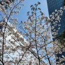 취향을 곁들인, 소중한 사람들과 함께한 날들 (스압주의..)