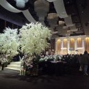 (주)북대전현대서비스 | 대전 루이비스컨벤션 웨딩 계약 후기 (찐찐찐 생생후기)