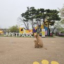 우림캠핑카 이미지