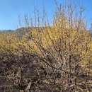 개화마을회관 이미지