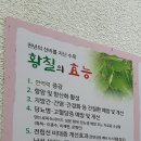 원조황칠나무녹두닭백숙
