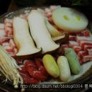 진정제주 Daum카페