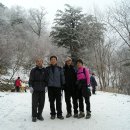 멋진 추억을 만들고 온 태백산...후기 이미지