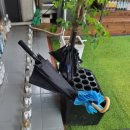 구월1동-32 이미지