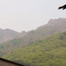 재약산 이미지
