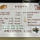 놀면묘하냥