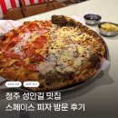 청주온누리동물메디컬센터 | [청주 성안길 맛집] 분위기 좋은 스페이스 피자 청주점 방문 후기