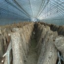 안기마을회관 이미지