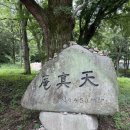 (주) 펫앤미 이미지