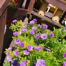 봉곡동136 | 사주타로카페림~상담기법