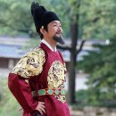 뿌리깊은나무 이미지