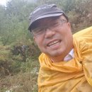 박달나무쉼터 옆 이미지