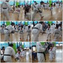 월드태권도 유소년스포츠클럽 이미지