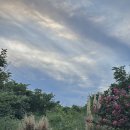 스테이 마넷 이미지