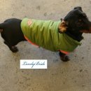 미스터토리 이미지