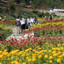 산청 동의보감촌 이미지