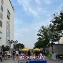 강릉 중앙시장 월화거리 야시장 타코 골뱅이무침 감자전