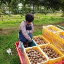 김순자농장 이미지