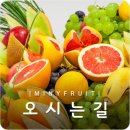 22번청과