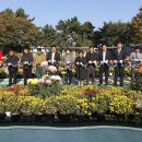 동삼3동-1 이미지