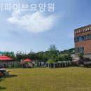 하이파이브요양원 | 동백동요양원 하이파이브요양원 실제후기