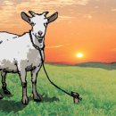 시가 있는 저녁 이미지