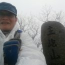 진산주 이미지