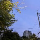 씨유역삼우리점 | 10 ~ 11월 일상 고봉밥