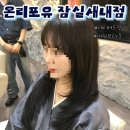 남성묭실 | [잠실새내역미용실추천] 온리포유 하린디자이너 레이어드컷 애쉬브라운염색 주차 및 솔직후기