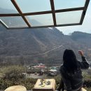 도심길12 | 경남 하동 아름다운 녹차밭에서 마시는 녹차 한잔 도심다원 내돈내산