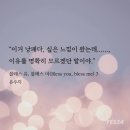 블레스유 - 순천시 | 블레스유